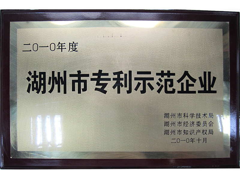 2010湖州市專利示范企業(yè)